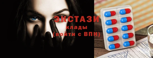 дмт Новозыбков