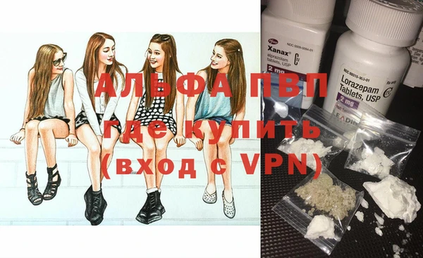 индика Алексеевка